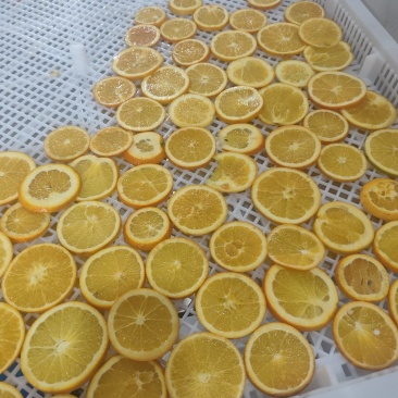 橙子片