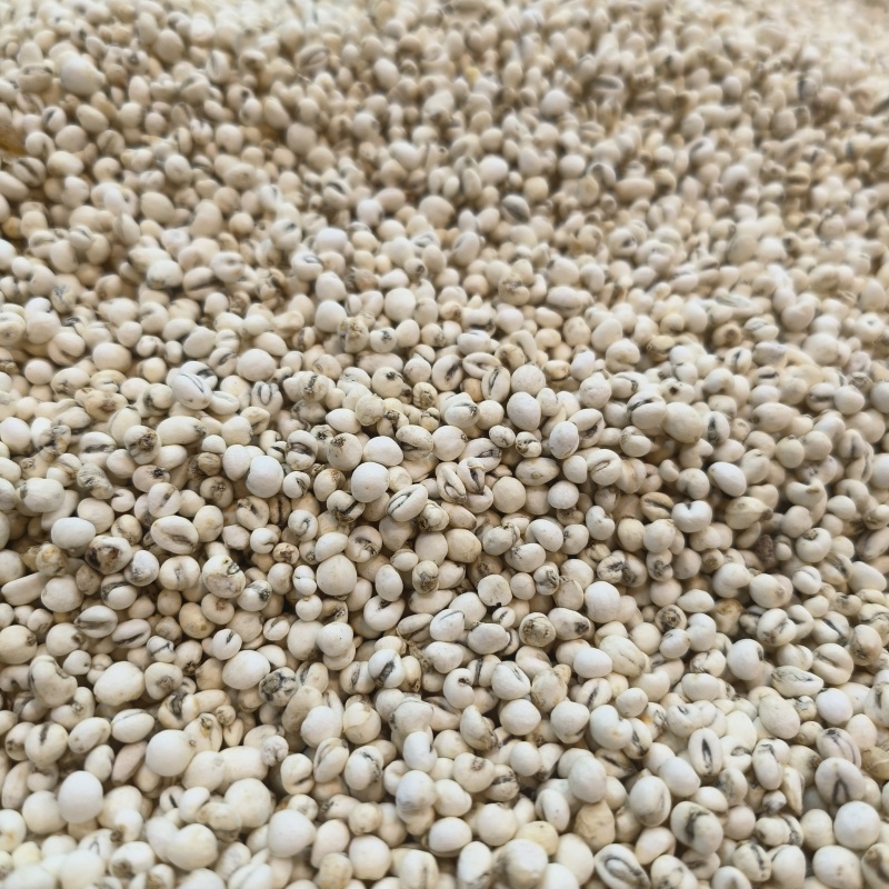 干货贝母规格齐全天然无熏硫贝母养生食疗门店稳定供货