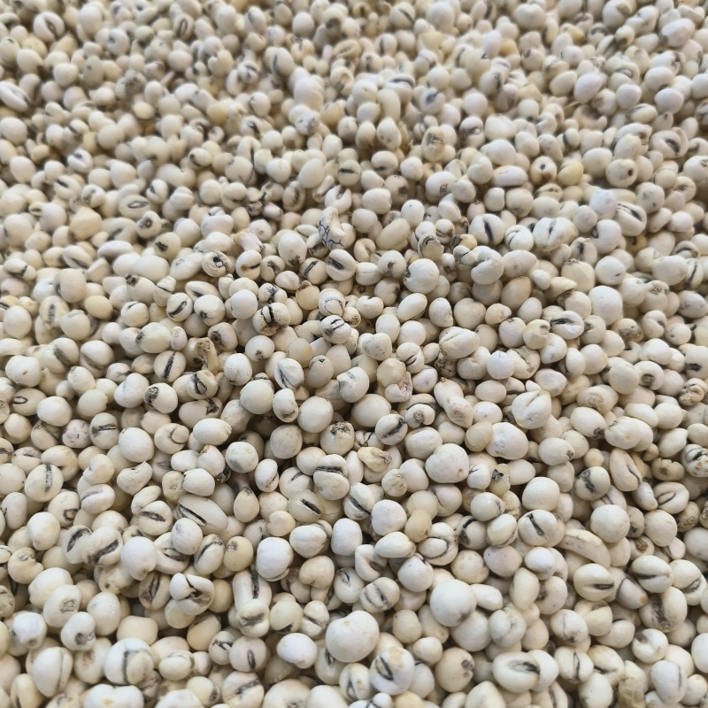 干货贝母规格齐全天然无熏硫贝母养生食疗门店稳定供货