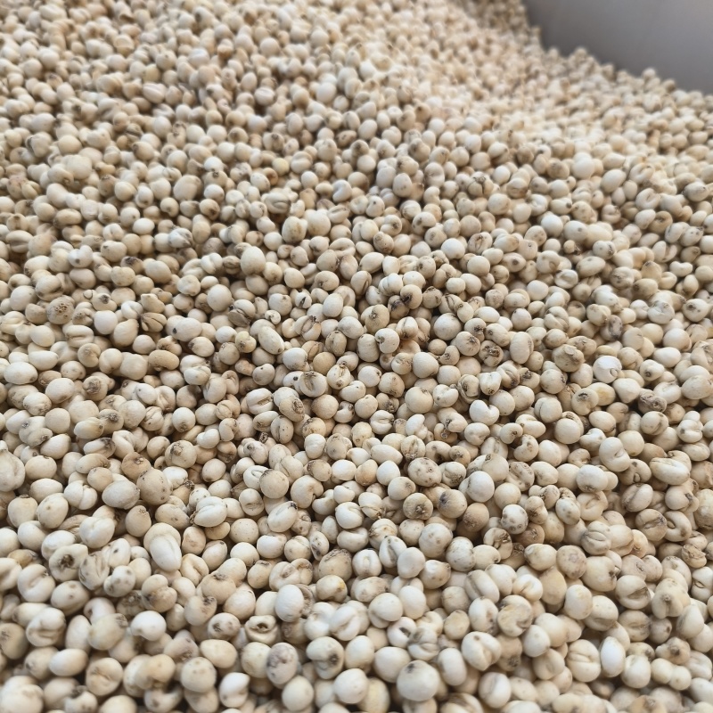 干货贝母规格齐全天然无熏硫贝母养生食疗门店稳定供货