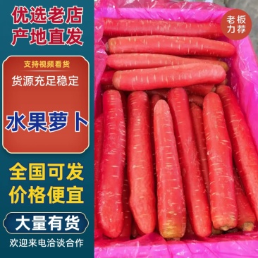 陕西渭南水果萝卜精品上市供应充足规格齐全产地直销