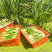 练塘茭白，水中人参