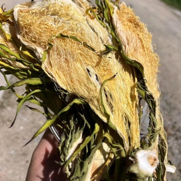 霸王花干货源头好货