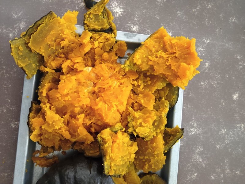 爆粉高品质贝贝