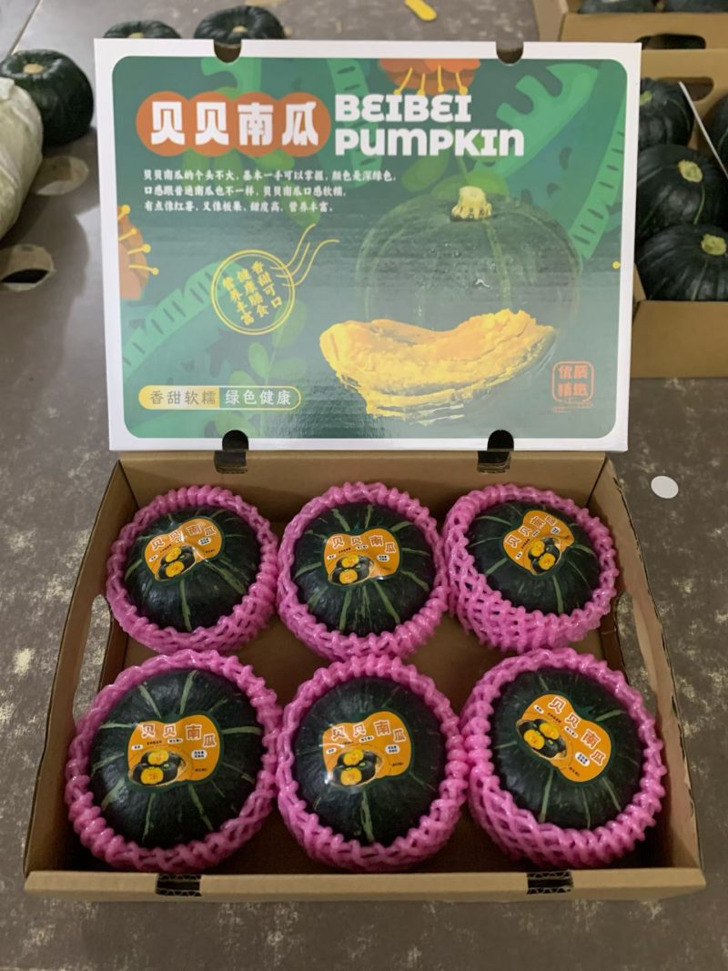 爆粉高品质贝贝
