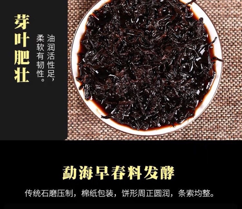普洱茶熟茶樟香普洱茶玉龙祥普洱