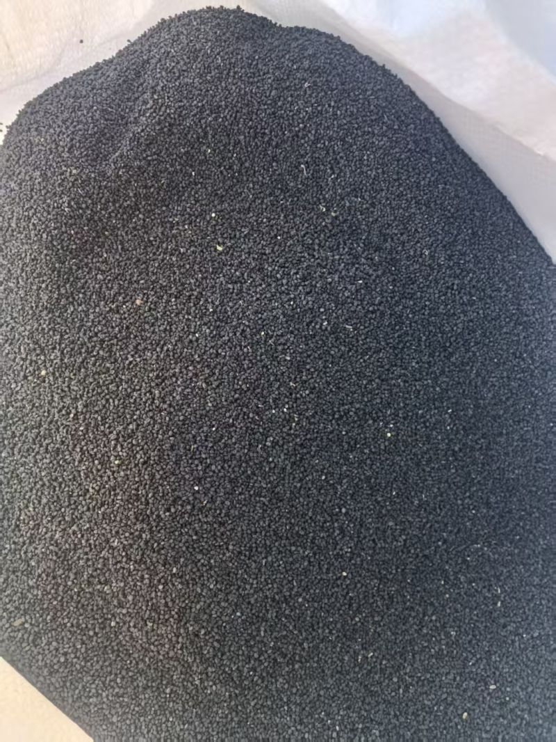 金莲花种子