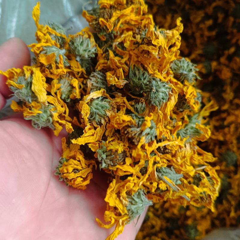 胰岛花洋姜花菊芋花