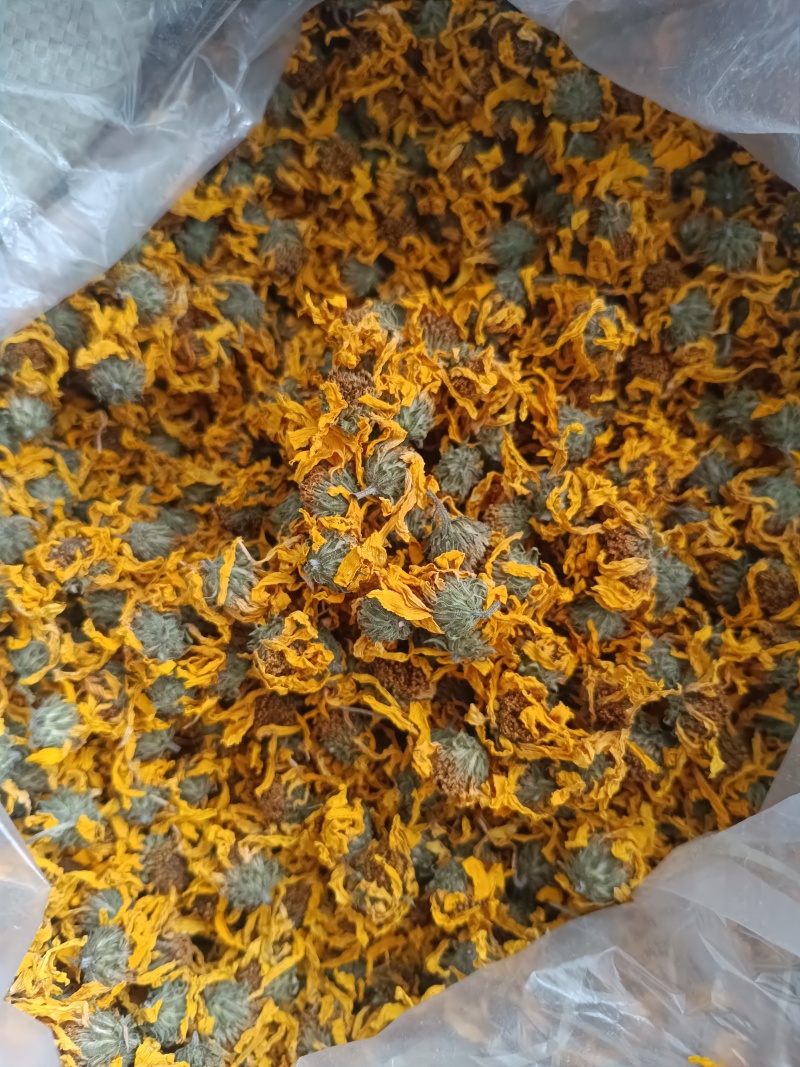 胰岛花洋姜花菊芋花