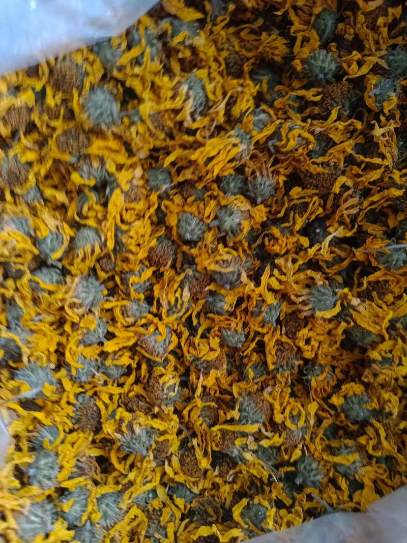 胰岛花洋姜花菊芋花
