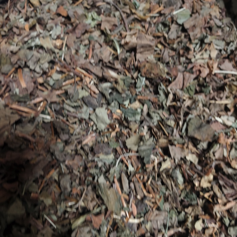 鱼腥草鱼腥草颜色好无虫蛀统段产地四川省