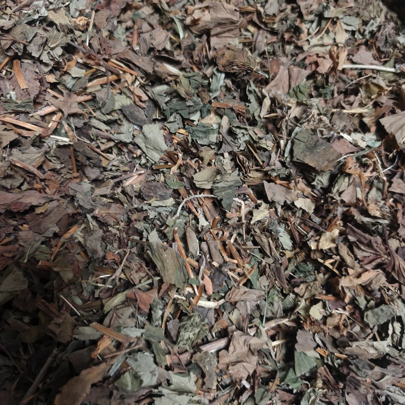 鱼腥草鱼腥草颜色好无虫蛀统段产地四川省