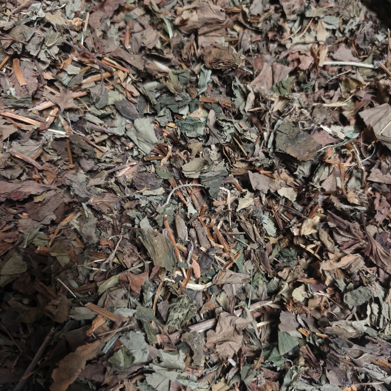 鱼腥草鱼腥草颜色好无虫蛀统段产地四川省