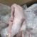 两光鹅，工厂直接发货，货源充足