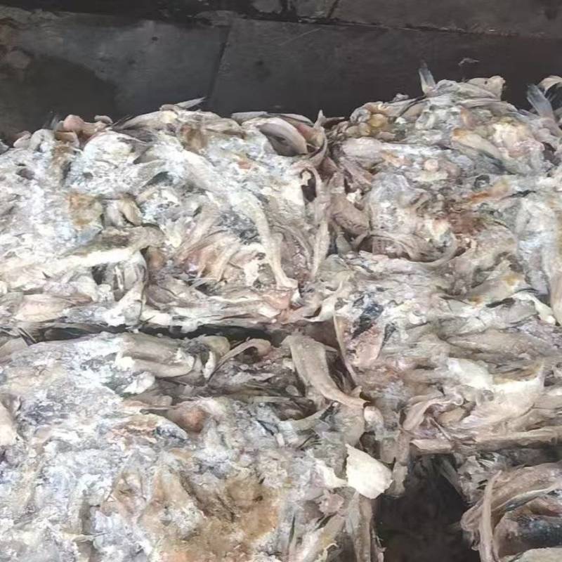 鳕鱼排一天一柜