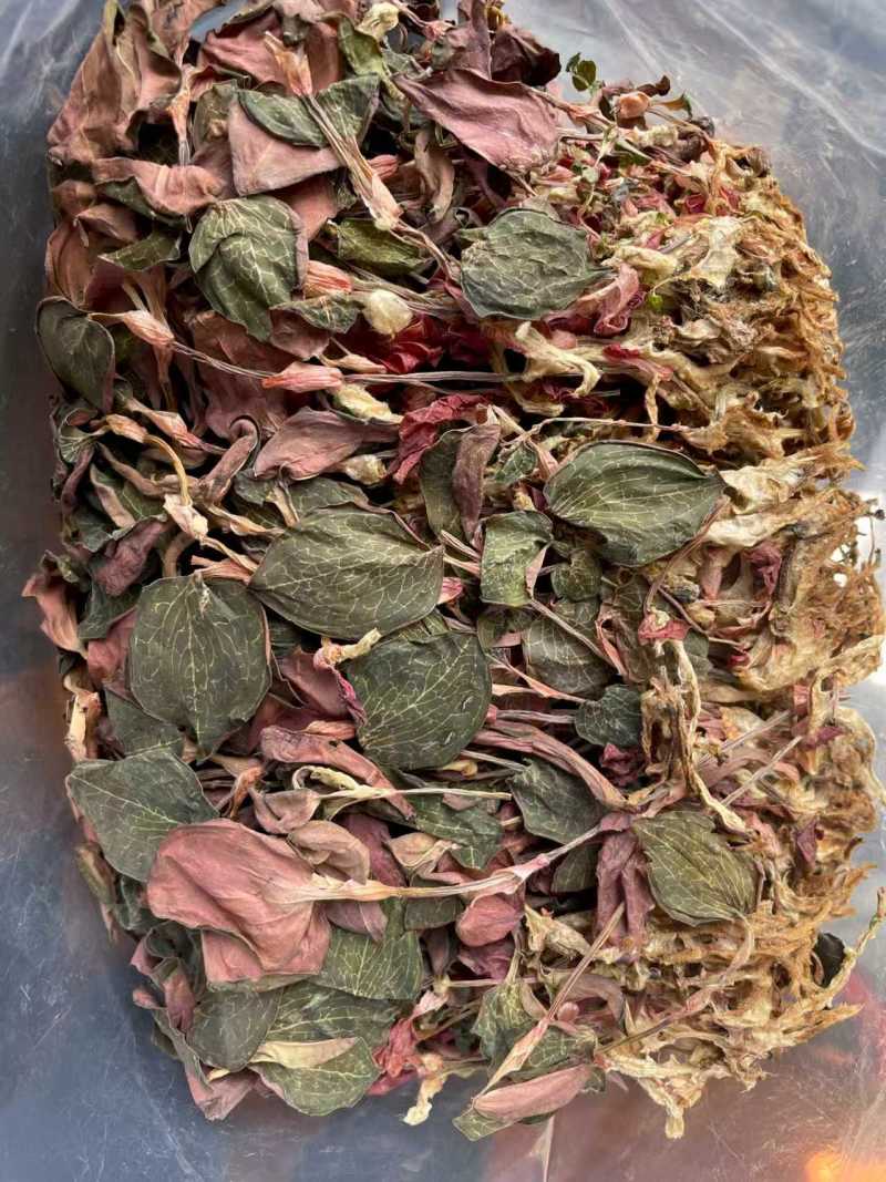 南靖金线莲，干度颜色好，多新品，南靖直发，量大从优