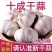 主营（4—6公分大蒜）紫皮大蒜，出口，市场批发