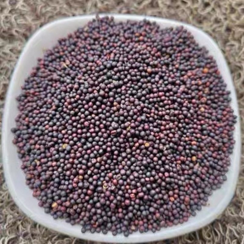 油菜籽