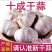 主营（4—6公分大蒜）紫皮大蒜，出口，市场批发