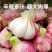 [精选]周口西华正宗好蒜现收现卖无中间商量大从优
