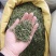 迷迭香中药材中药迷迭香手工挑选干净无硫迷迭香