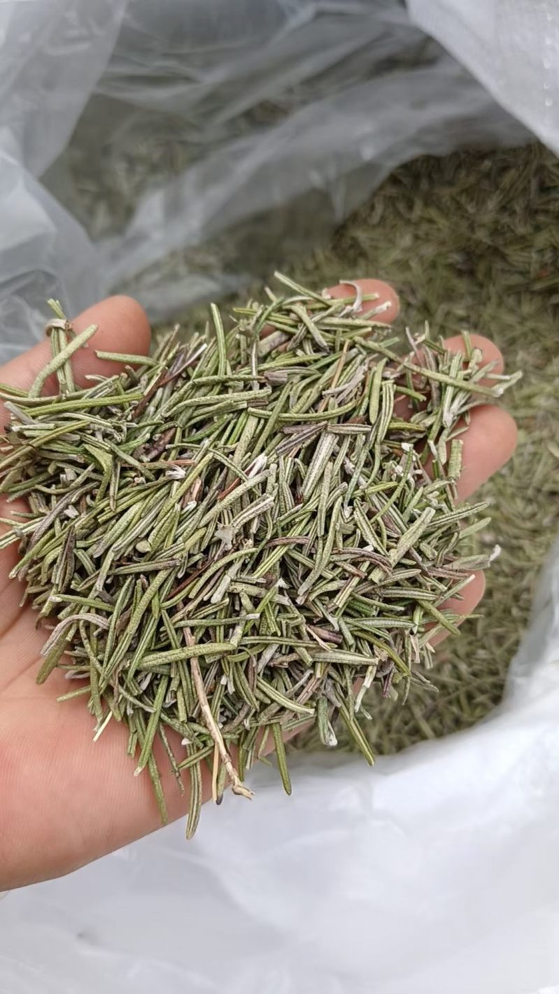 迷迭香中药材中药迷迭香手工挑选干净无硫迷迭香