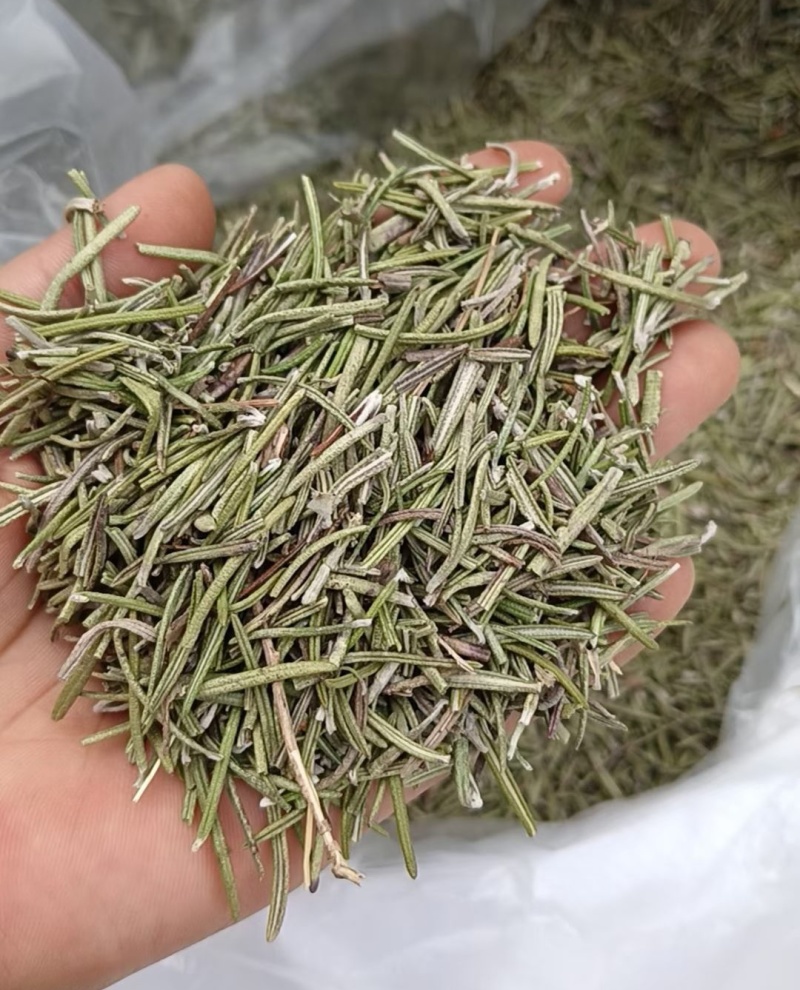 迷迭香中药材中药迷迭香手工挑选干净无硫迷迭香