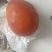 鸡宝