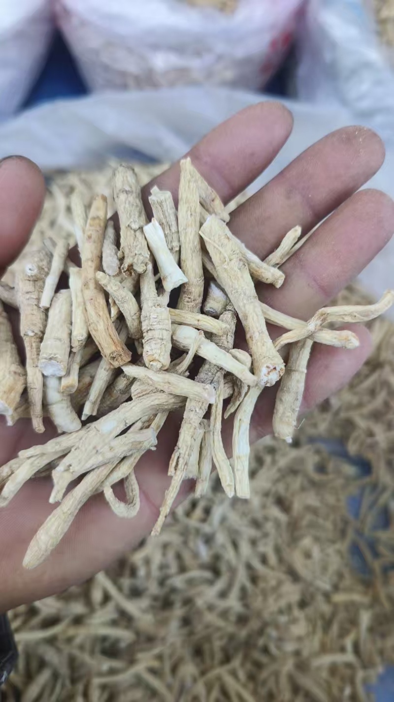 西洋参丁足干西洋参小条西洋参丁棒产地发货