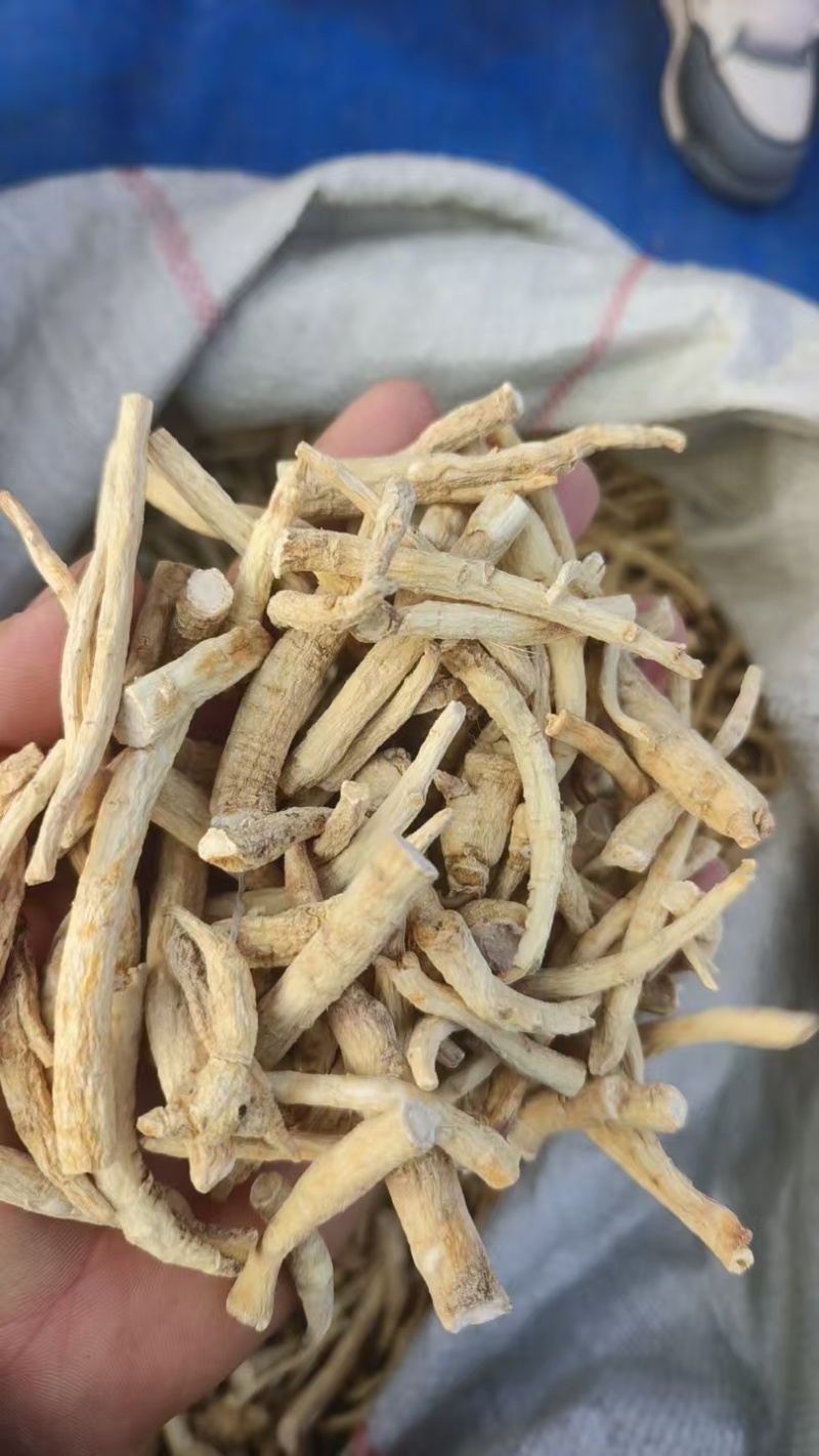 西洋参丁足干西洋参小条西洋参丁棒产地发货