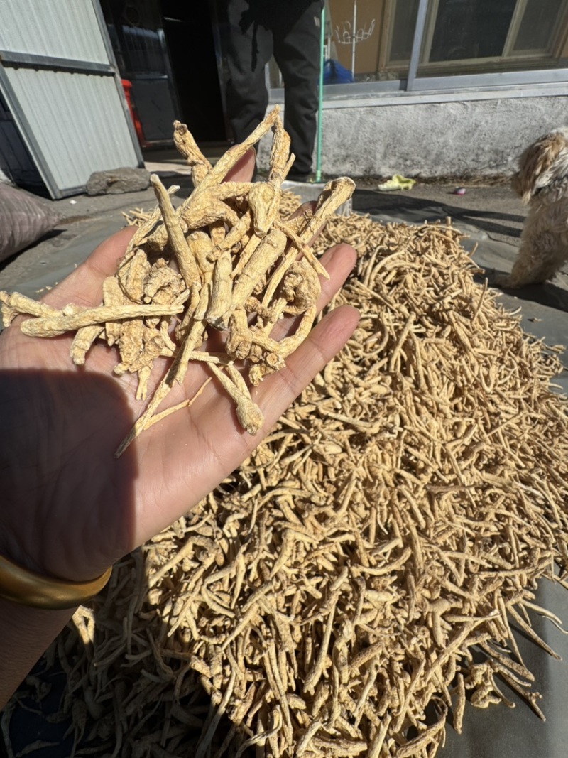 西洋参丁足干西洋参小条西洋参丁棒产地发货