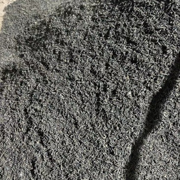 普洱茶