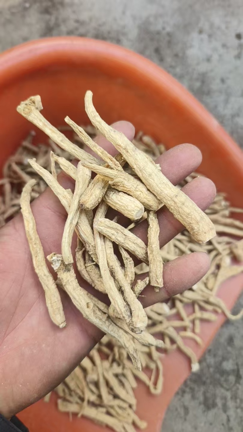 西洋参丁足干西洋参小条西洋参丁棒产地发货