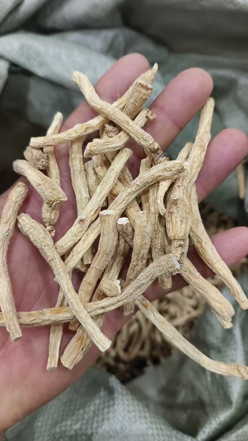 西洋参丁足干西洋参小条西洋参丁棒产地发货