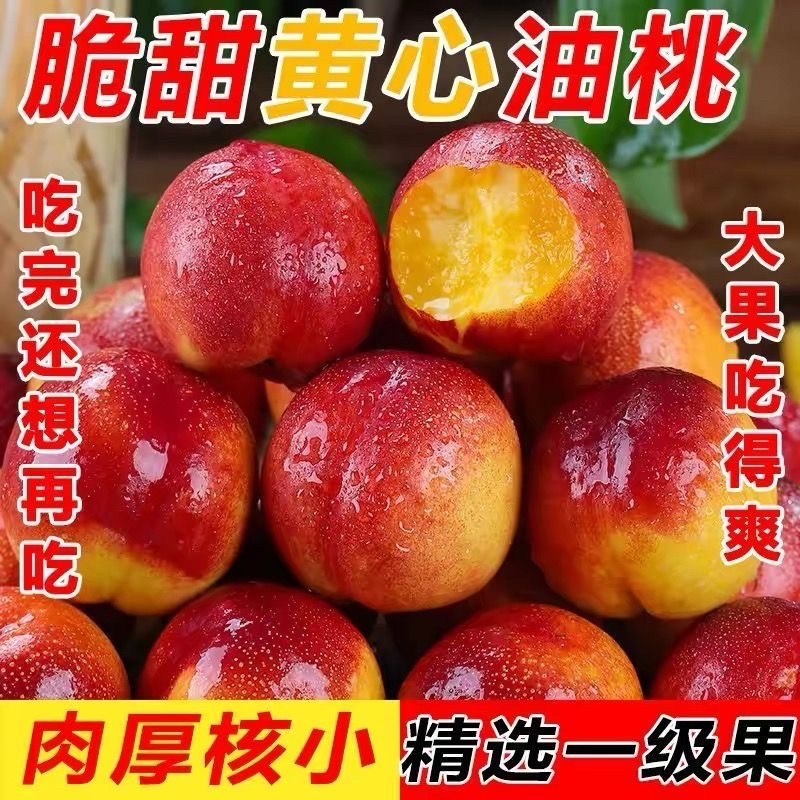 山东产地精品油桃大量上市大量接单，口感脆甜硬度很好