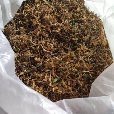 江西野生金银花干货可以泡茶香味十足甜甜的味道