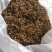 江西野生金银花干货可以泡茶香味十足甜甜的味道