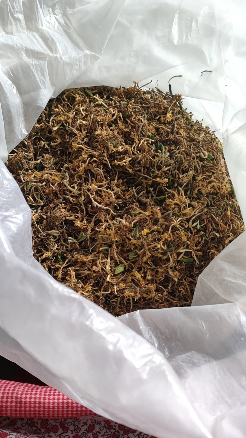 江西野生金银花干货可以泡茶香味十足甜甜的味道