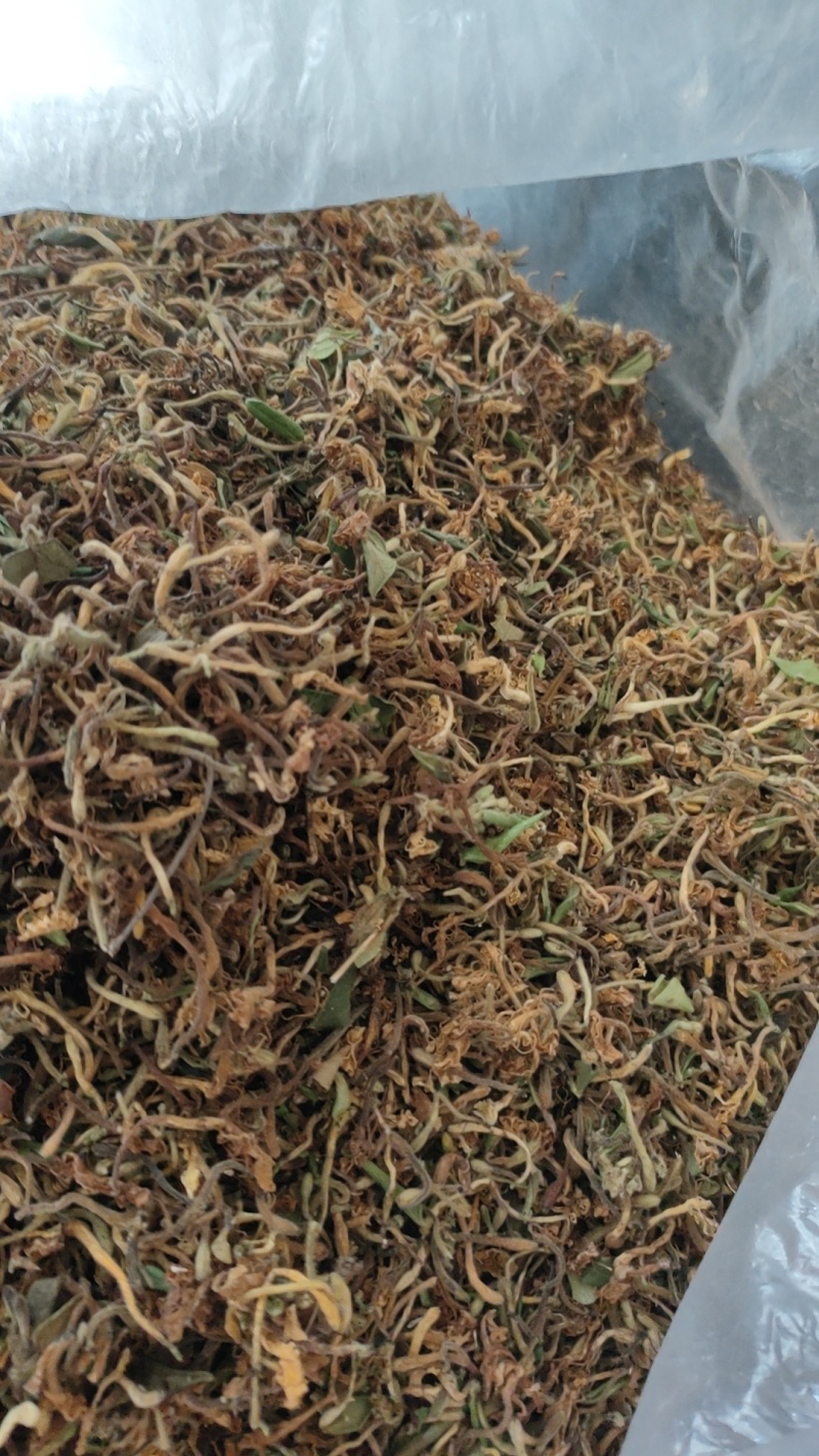江西野生金银花干货可以泡茶香味十足甜甜的味道