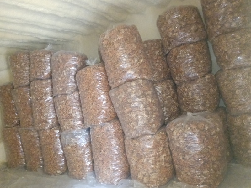 选躲滑子菇福建古田食用菌批发市场批发滑子菇，专卖更专业。