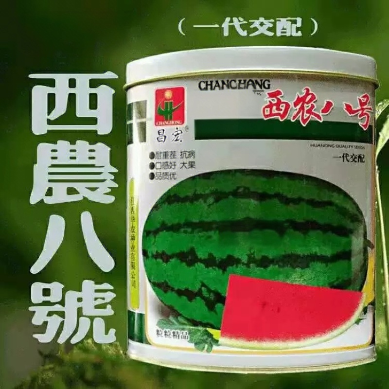 大果西农八号西瓜种子50克包邮