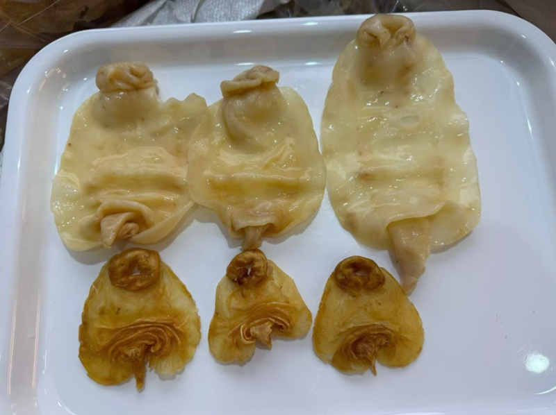 50头黑鳘赤嘴鳘胶广东广州越秀区产地花胶直发质优价美