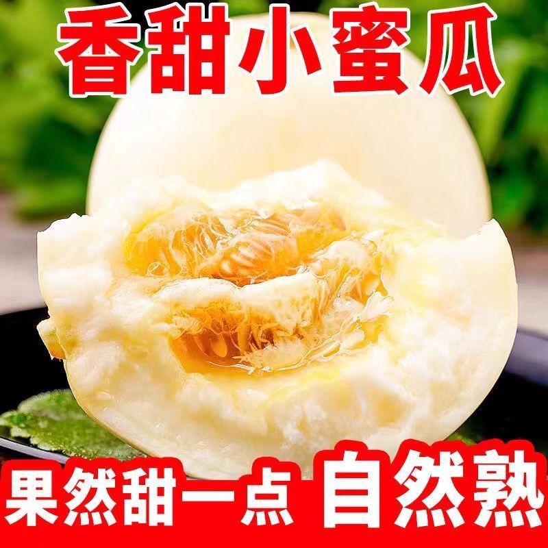 阎良甜瓜应季新鲜孕妇水果白皮脆甜香瓜脆瓜整箱