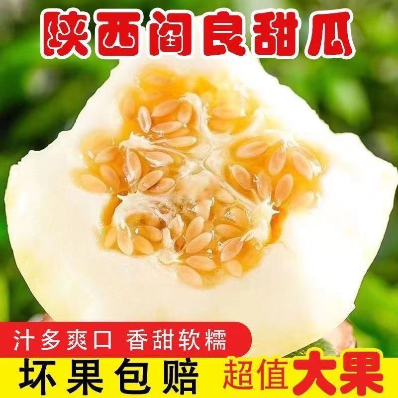 阎良甜瓜应季新鲜孕妇水果白皮脆甜香瓜脆瓜整箱