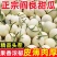 阎良甜瓜应季新鲜孕妇水果白皮脆甜香瓜脆瓜整箱