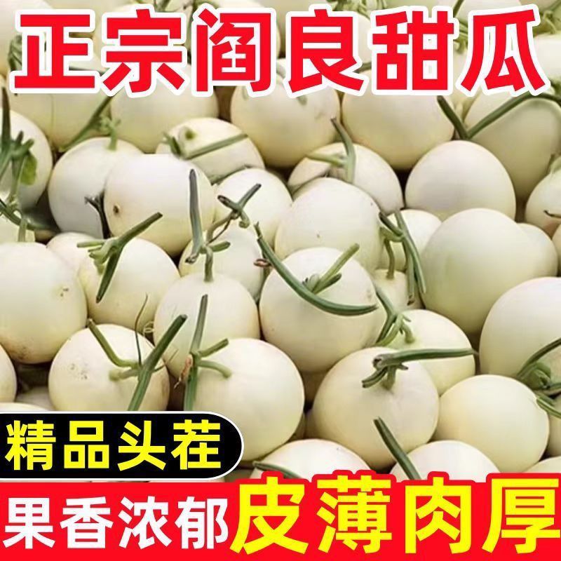阎良甜瓜应季新鲜孕妇水果白皮脆甜香瓜脆瓜整箱