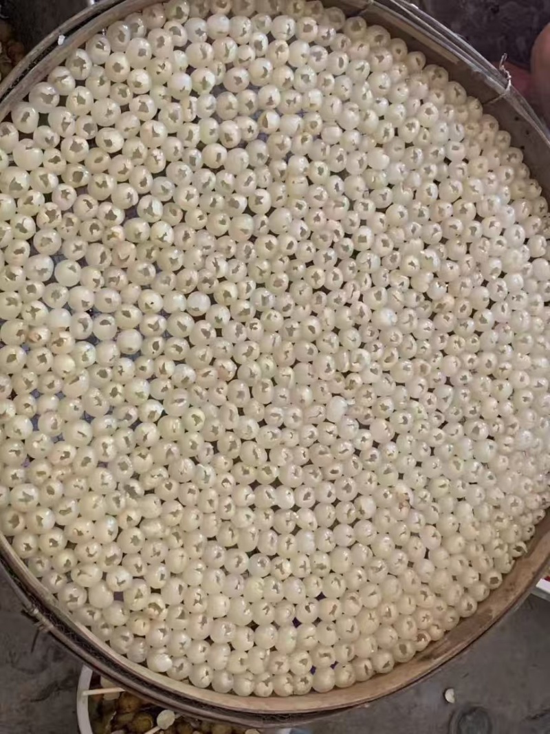 桂圆肉无硫磺，纯手工加工