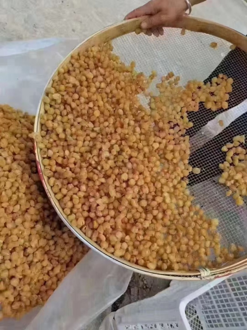桂圆肉无硫磺，纯手工加工