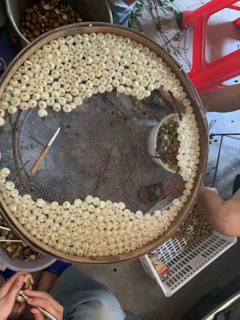 桂圆肉无硫磺，纯手工加工