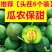 绿宝甜瓜5斤时令新鲜水果当季绿宝石甜瓜脆甜香瓜新鲜包邮